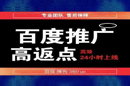 案例分析：竞价推广实战中的困境与突破